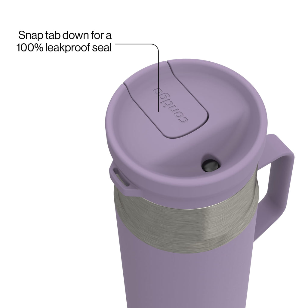 Contigo Water Bottle - 18 Oz, Stainless Steel, Vacuum Insulated Leakproof, SnapSeal Lid, Purple Carrot