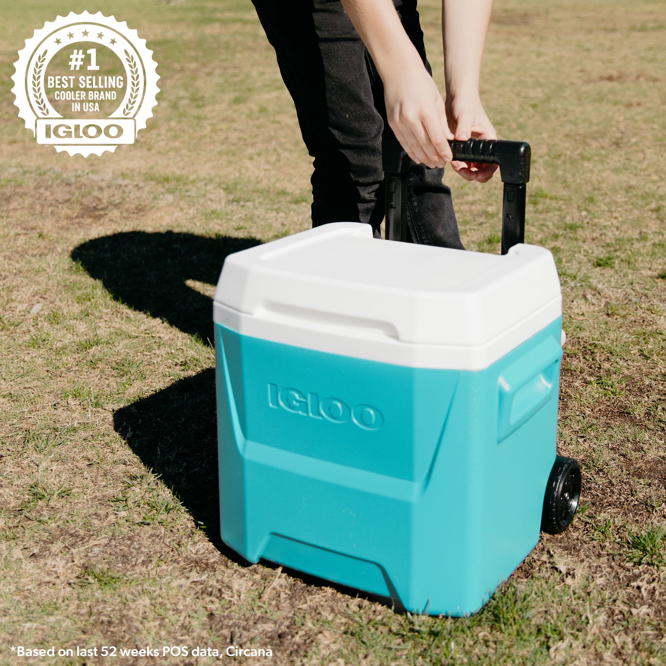 Igloo 16 QT Laguna Hard Side Ice Chest Cooler with Wheels - Aqua Blue - 2-Pack
