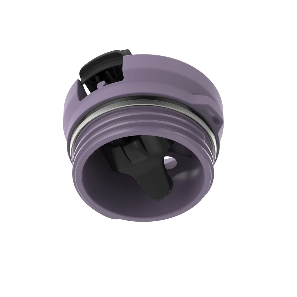 Contigo Water Bottle - 18 Oz, Stainless Steel, Vacuum Insulated Leakproof, SnapSeal Lid, Purple Carrot