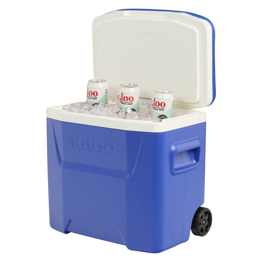 University of Florida Gators 28 QT Laguna Soft Top Wheeled Cooler by Igloo - Blue