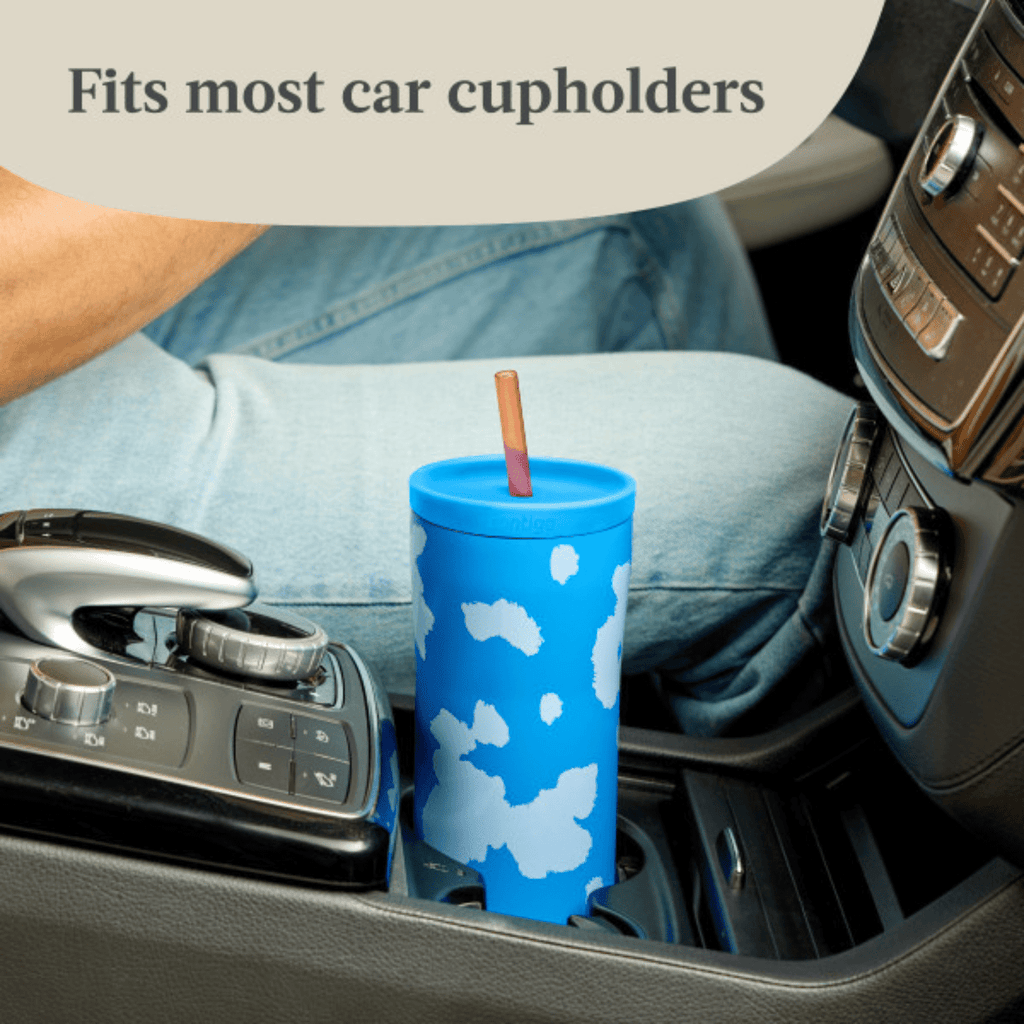 Contigo x Ally Love Streeterville 2.0 Stainless Steel Tumbler with Straw - 24 oz, Stellar Jay