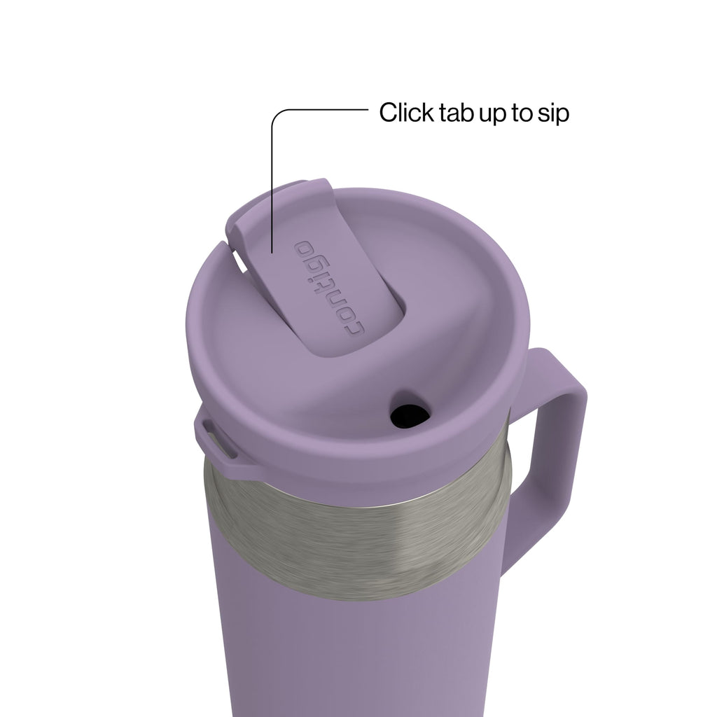 Contigo Water Bottle - 18 Oz, Stainless Steel, Vacuum Insulated Leakproof, SnapSeal Lid, Purple Carrot