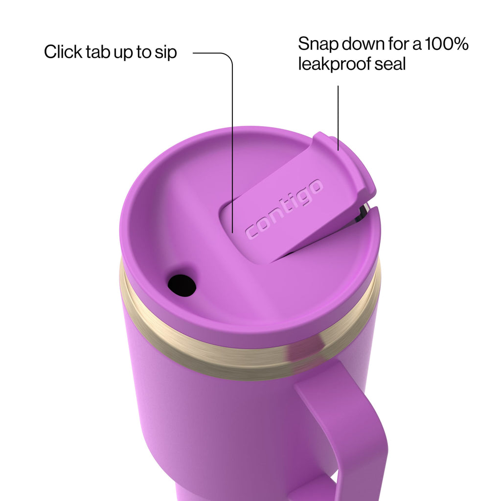 Contigo 30 oz Stainless Steel Water Bottle Tumbler with Straw – Leak-Proof Insulated Travel Mug - Reusable Water Bottle, Side Handle, Purple/Champagne