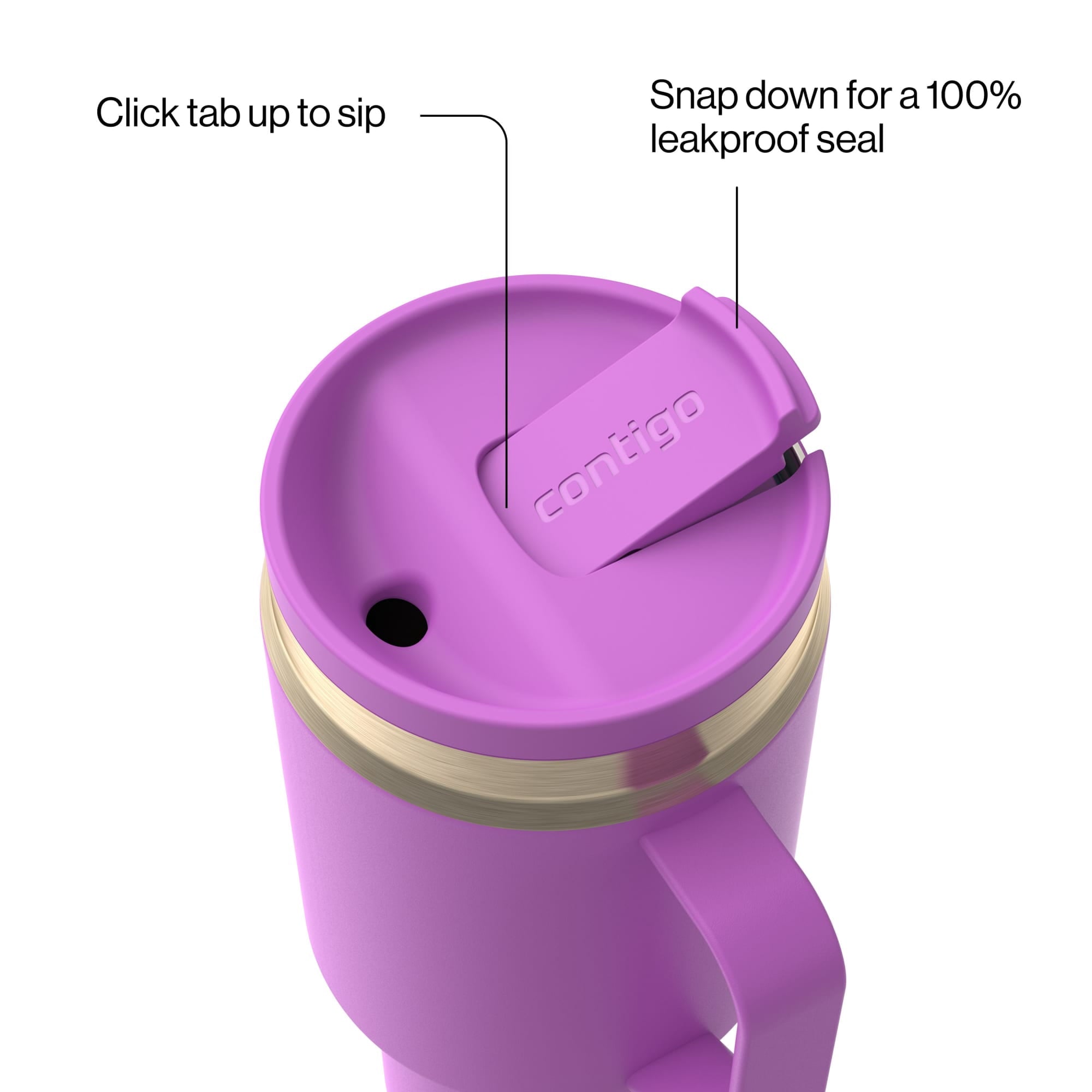 Contigo 30 oz Stainless Steel Water Bottle Tumbler with Straw – Leak-Proof Insulated Travel Mug - Reusable Water Bottle, Side Handle, Purple/Champagne