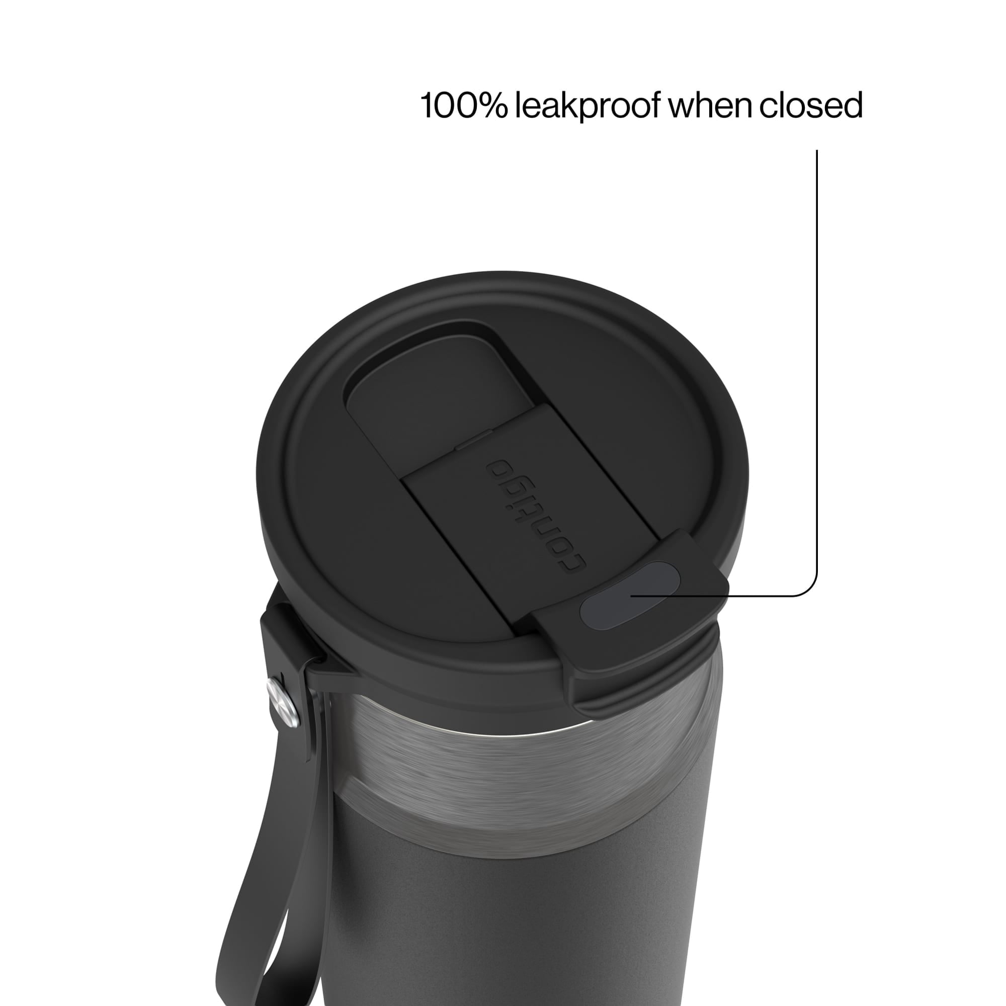 Contigo 24 oz DualSip Stainless Steel Leak-Proof Insulated Water Bottle with Straw or Sip Lid and Carry Strap - Black/Silver
