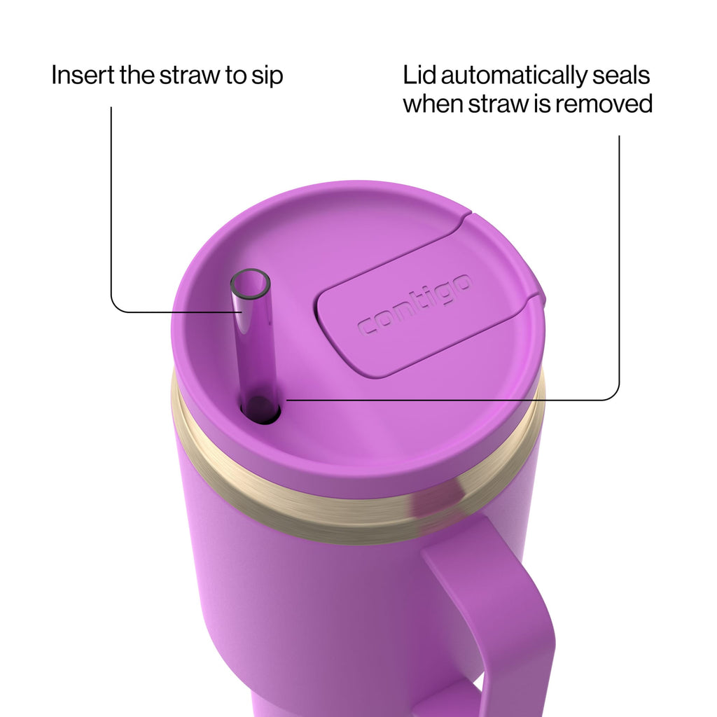 Contigo 30 oz Stainless Steel Water Bottle Tumbler with Straw – Leak-Proof Insulated Travel Mug - Reusable Water Bottle, Side Handle, Purple/Champagne